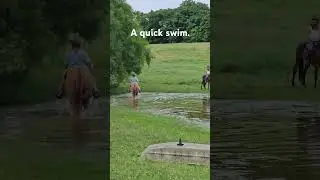 It's that time of year. #trending #jesus #shorts #horse @carrieunderwood #love #summer #nature