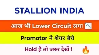 Stallion India Share Latest News | Stallion India Fluorochemical | Stallion India Share