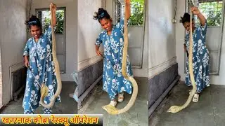 😱अरे बापरे वॉशिंग मशीन मागे भला मोठ्ठा कोब्रा साप निवांत लपून बसलेला😳 Dangerous Cobra Snake Rescue😱🐍