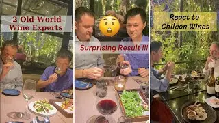 2 Old- World Wine Experts React To Chilean Wines. Surprising Result! 😲