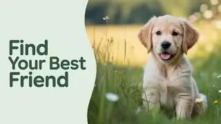 The Puppy You Pick Decides Everything- Here's Why
