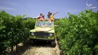 EnoturismePENED&Egrave;S