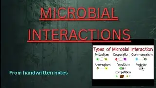#MICROBIALINTERACTION  #microbial #microbialgenetics #microorganism