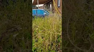 Lancia Kappa Discovered in the Bushes