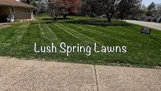 Cut, Trim & Blow Along BUSY Road ll Beautiful Spring Lawncare