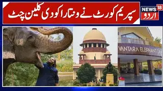 Supreme Court Clean Chit to Vantara | Animal Rescue Centre in Jamnagar Gets Relief | News18urdu