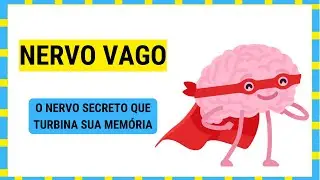 Memorização 🧠 O nervo secreto que turbina sua memória (ciência explica!)