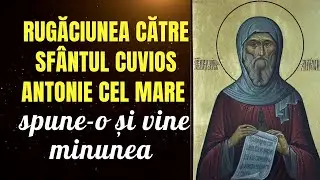 Rugăciunea către sfântul cuvios antonie cel mare – spune-o și vine minunea