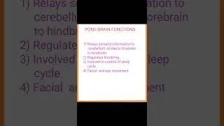 pons Brain function#medical#medicine#nursing# paramedical#Gnm#biology