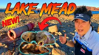 what  12 foot of water loss at Lake Mead looks like