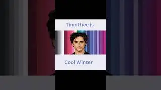 Color Analysis of Timoth&eacute;e!      #coloranalysis #personalcolor #colortheory #colorconsulting