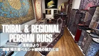 【浅草店セレクト】社長が普段紹介しない“通好み”のペルシャ絨毯とは