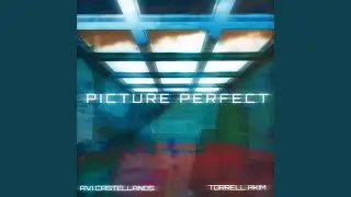 Picture Perfect (feat. TorrellAkim)