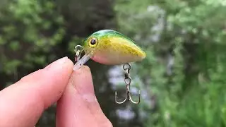 Лучшие приманки для ловли рыбы в ручье!