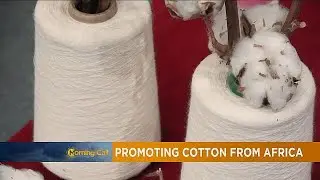 Promotion of 'Cotton' business in Africa [The Morning Call]