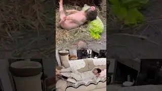 This is my Cute Boyfriend #shorts #cute #love #couple #funny #viralvideo #foryou