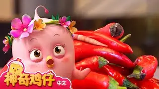 太辣了！嘴巴着火啦！观察辣椒 | 观察事物 | 神奇鸡仔事物观察