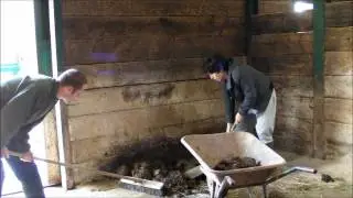 Wild Animal Keeper for a Day