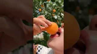 Oh my god very ripe sweet peach,How to eat juicy ripe peaches