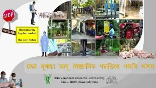 জৈৱ সুৰক্ষা আৰু বৈজ্ঞানিক পদ্ধতিৰে গাহৰি পালন