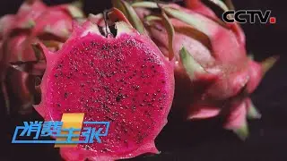 无刺红龙、桂红龙、蜜宝和金都一号，这几种火龙果如何区分？各自又有什么特点？「消费主张」20220815 | CCTV财经