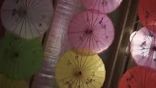 FREMANTLE E SHED MARKET UMBRELLAS COLOUR POP