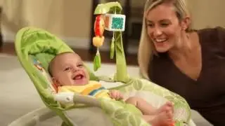 Newborn to Toddler Portable Rocker   Demo