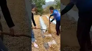 Soil cultivation process of vegetable seedlings; Good ways to be more productive