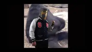 Pimp Chimpin