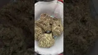 Order Cannabis Online | Starbuds Marijuana Store - Recreational HerbSALE.