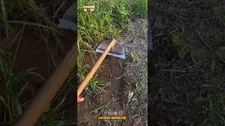 Best Weeding Spade Tool in the Market | Amazing Spade for Farmers and Gardeners