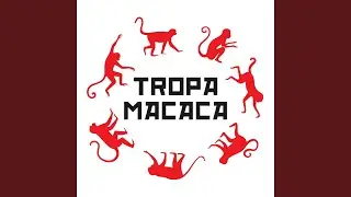 Taixo