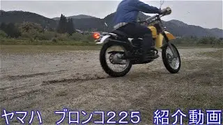 ヤマハ　ブロンコ　紹介動画　ヤフオク　済