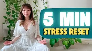 Stress Reset - 5 Min EFT Tapping Meditation