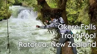 Okere Falls Trout Pools: A Refreshing Spring Adventure ☀️