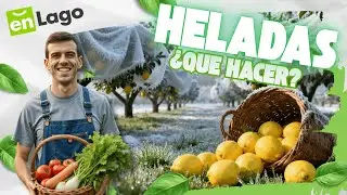 Lleg&oacute; el fr&iacute;o: lo que debes hacer YA en tu huerta 🧤❄️ | Consejos clave para frutales