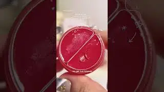TONYMOLY Cheek Tone Lip & Cheek Duo Balm #kbeauty #beautyshorts ￼#makeupshorts