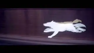 Wolf BPP - Visual Ident - Go Wolf Go!