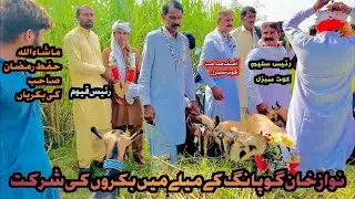 Barbari galmori bareed rahim yar khan 