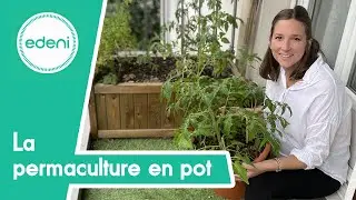 La permaculture en pot