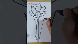 How to Draw a Crocus Easy in Less Than One Minutes