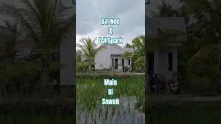 DJI Neo X DJI Spark. FVP x Aerial Mode. Main di Sawah #dji #fvp #aerial #neo #spark #sawah #views