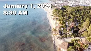Daily Sargassum Sargasso Seaweed Report at Playa del Carmen, Mexico - January 1, 2026 #sargassum