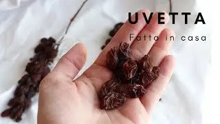 COME FARE L'UVETTA  Uva passa fatta in casa facilissima!- RICETTE DI GABRI Kitchen Brasita