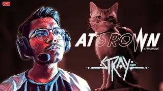 Finally we open the city - STRAY - Atsrown Gaming Live