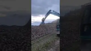 Edenhall Roller