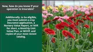 Risk Management Agency&rsquo;s Nursery Value Select