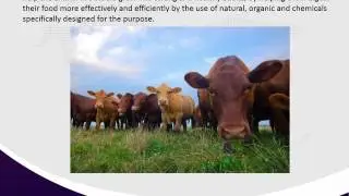 Animal Growth Promoters & Performance Enhancers Market Share, Size, Forecast and Trends by 2021
