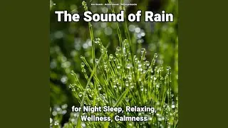 Dreamlike Sound Effects