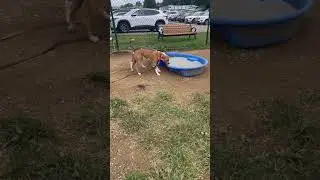 Beck and Lea in the play yard